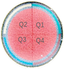 quality assurance device ct image