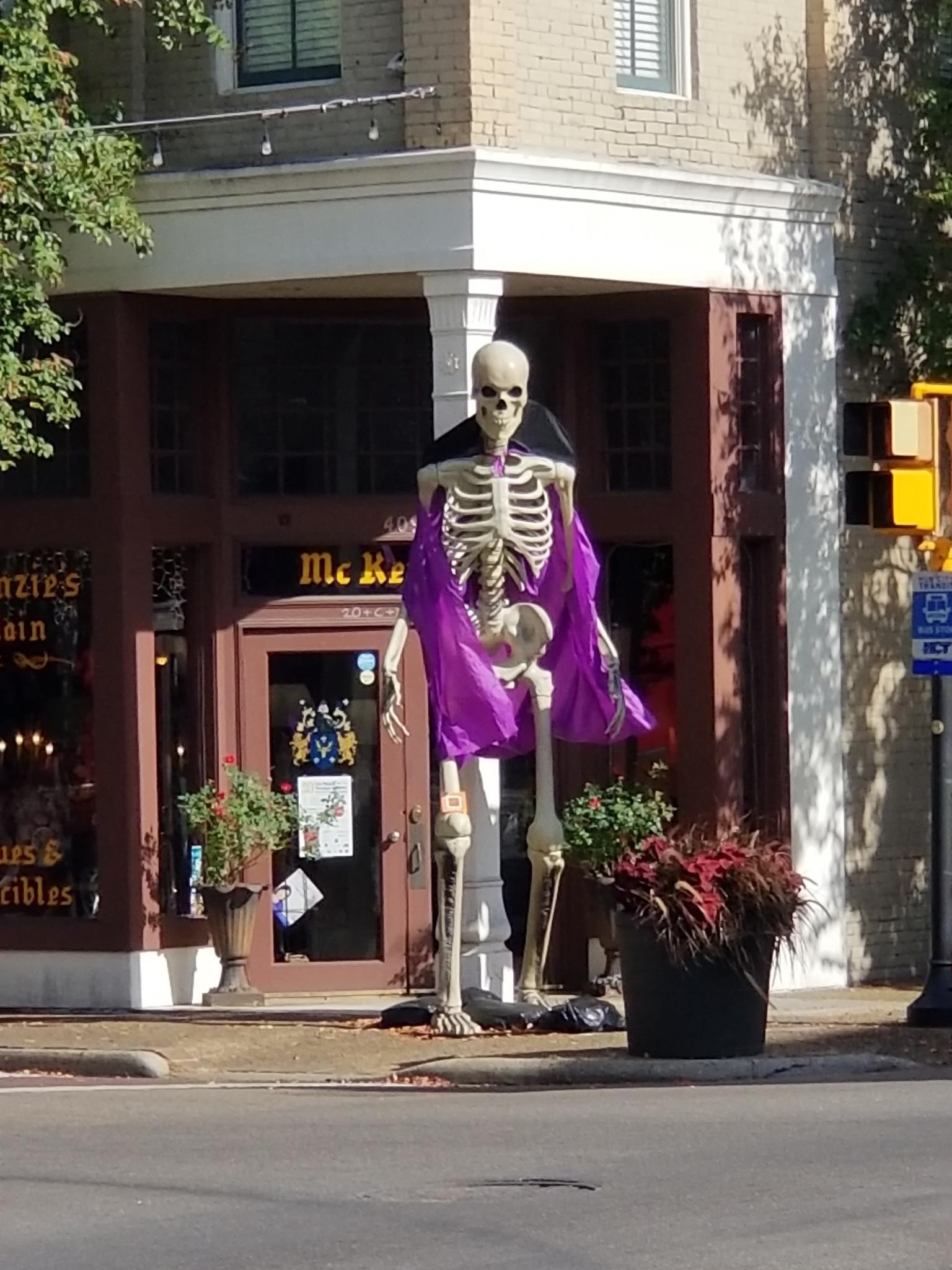 A model skeleton, perhas 7 feet tall, wearing a purple cape, stands on a street-corner, outside a shop, seeming to watch over the traffic.