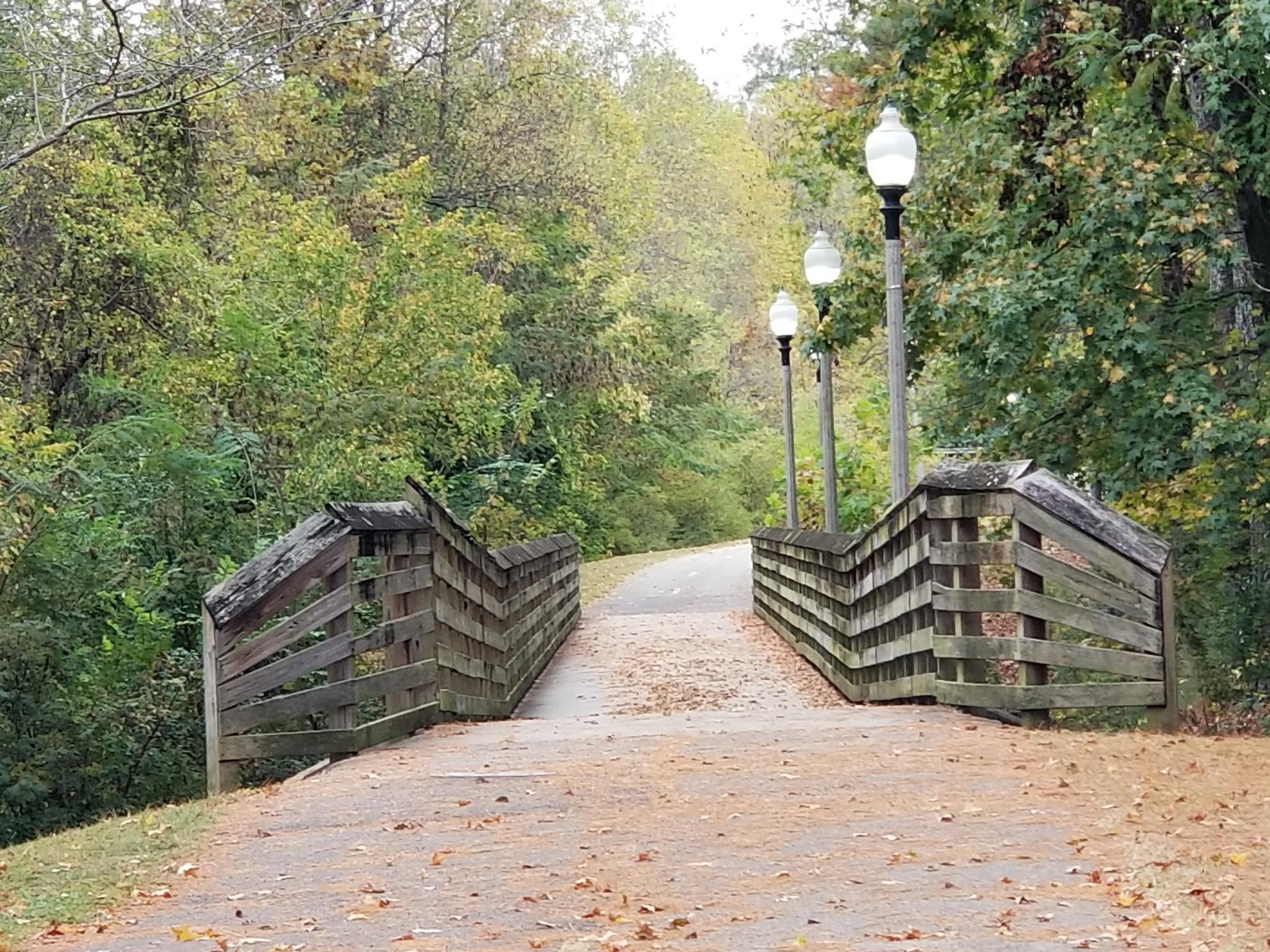 A view as approaching a footbridge in a wooded park. The siderails are worn and there are light-poles to the right.