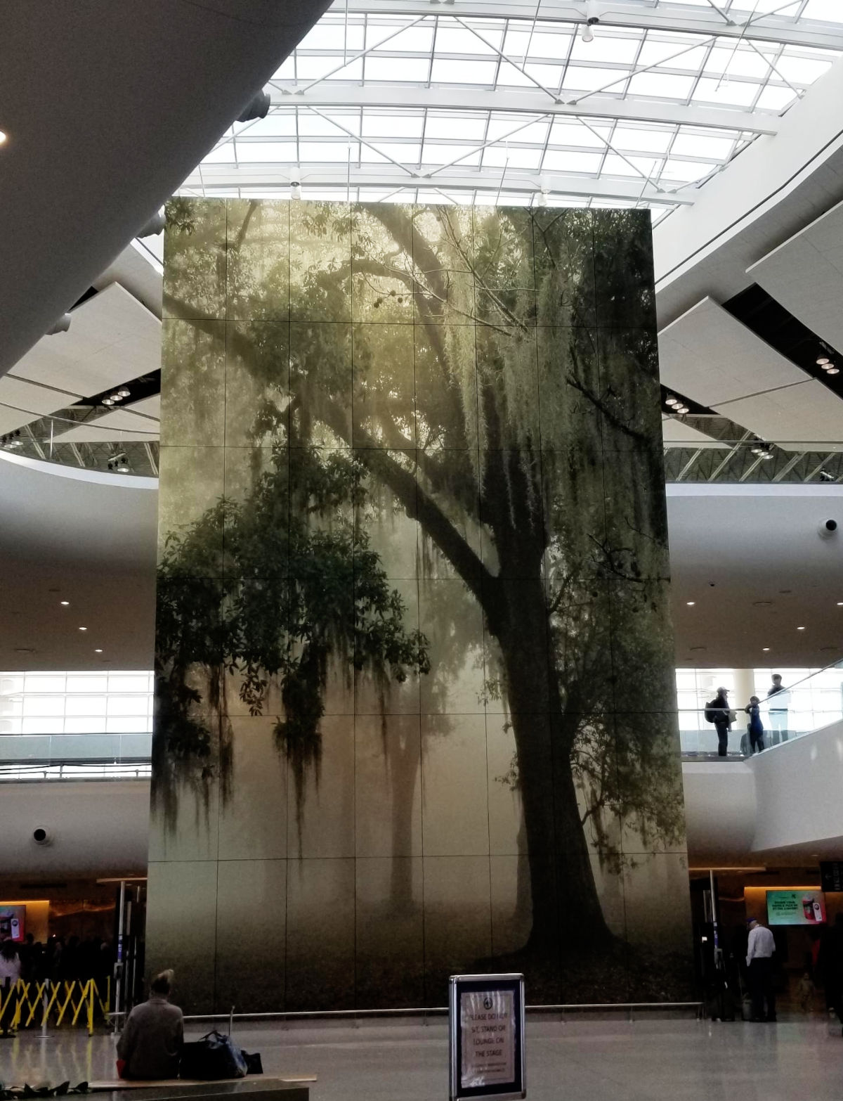 A two-story tall photograph portraying a view through fog that surrounds oak trees which hang with Spanish moss.