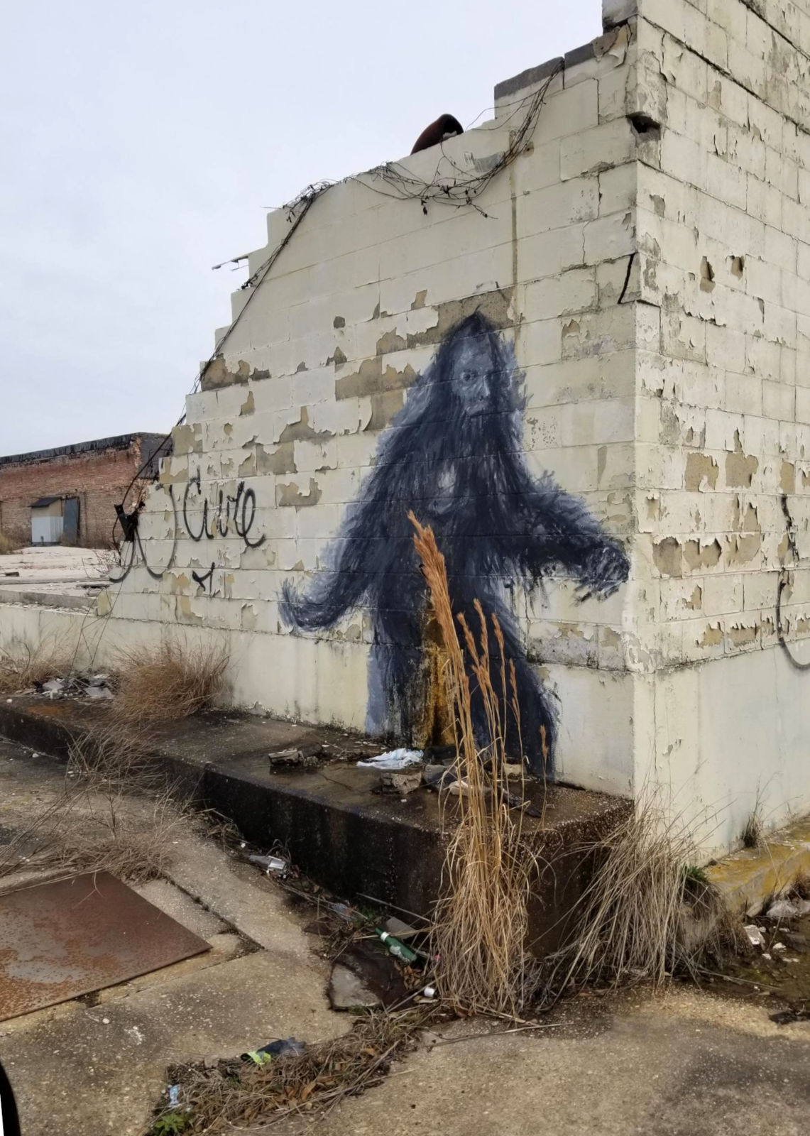 A drawing rendered in blue-grey ink on a mostly-wrecked wall that portrays, from the knees-up, an upright furry creature striding from the left to right side of the image.