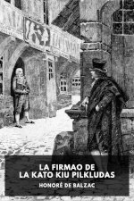 Librokovrilo: Viro rigardas sur urba strato.