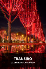 Cover: Reflected Christmas lights.