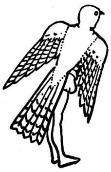 Child wearing a bird costume.