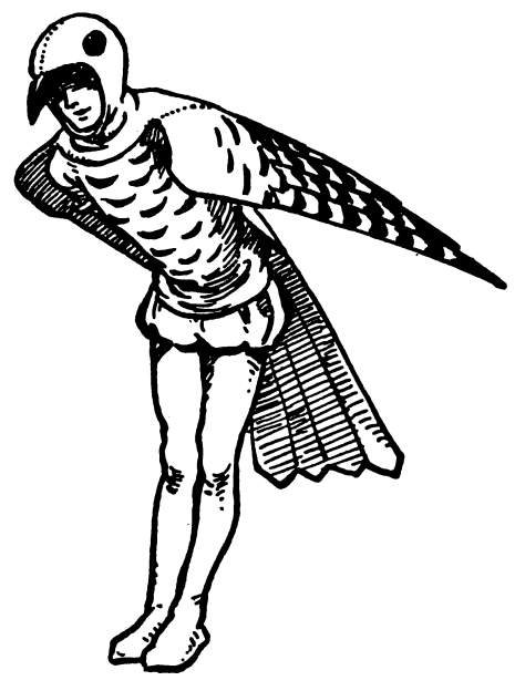 Child wearing a bird costume.