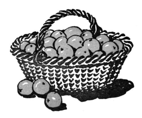 A basket of oranges.