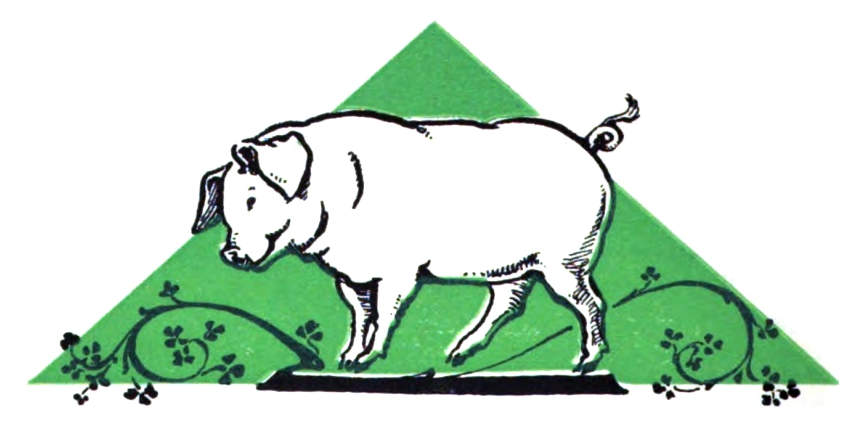 A A pig.