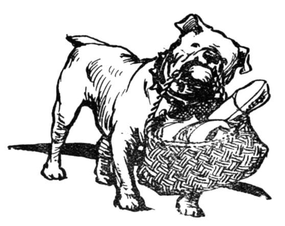 A bulldog carrying a basket full of goods.