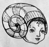 A face sits within a snail-like shape.