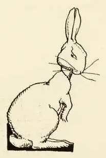 A rabbit.