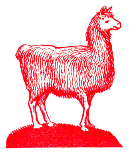 An alpaca.