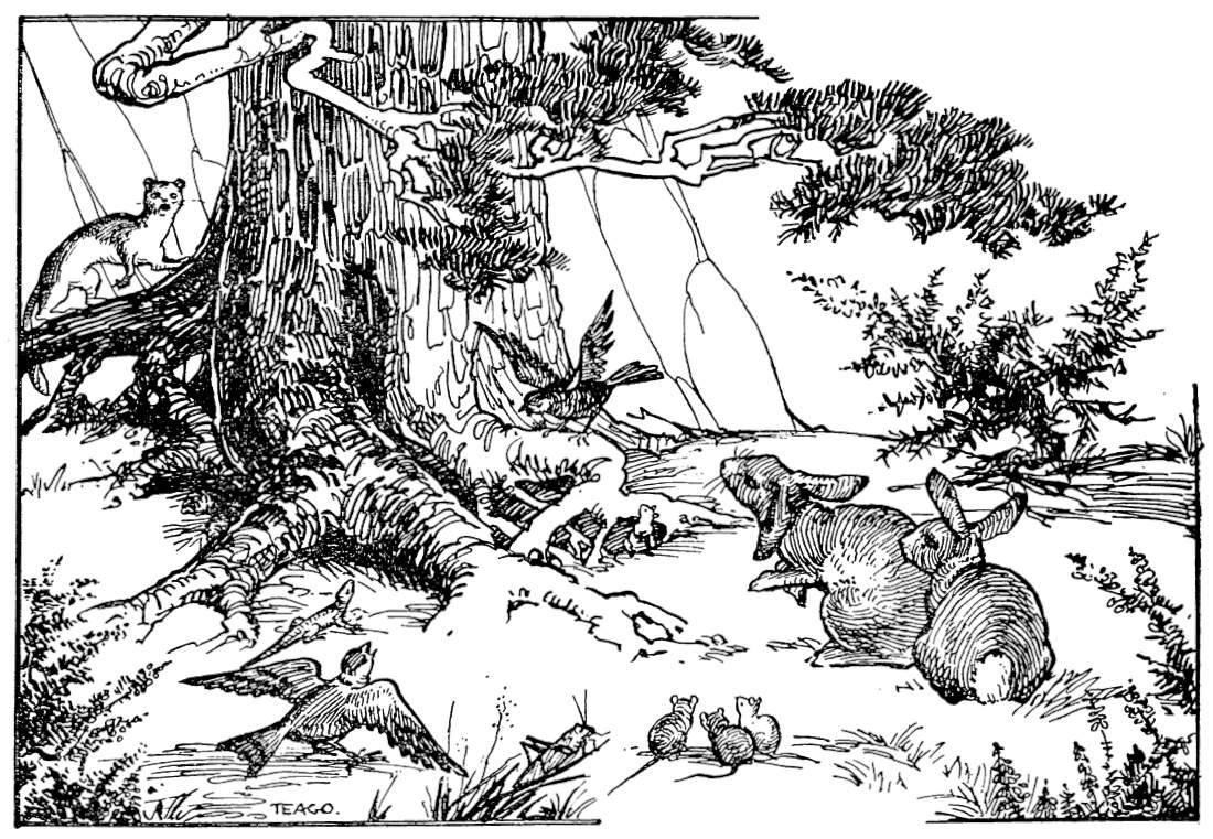 Woodland animals surround a tree.