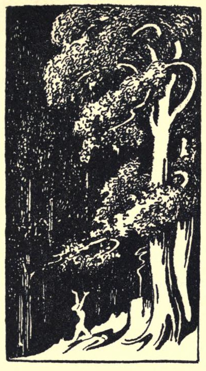 A man extends arms up toward the trees, which bend their branched down toward him.