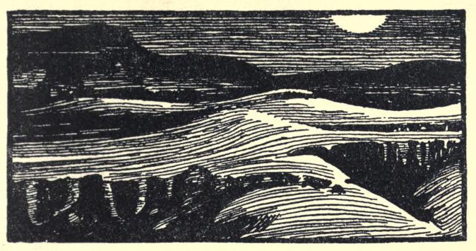 A desert landscape is seen by moonlight.