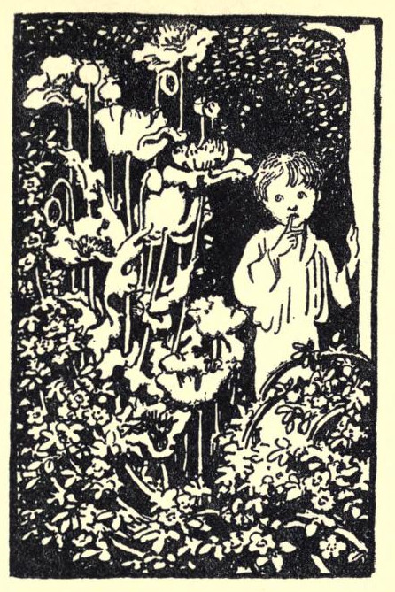 A small child stands among tall flowers.