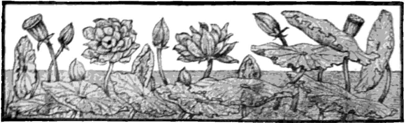 An ornamental headpiece marking the beginning of a work; features a row of plants.