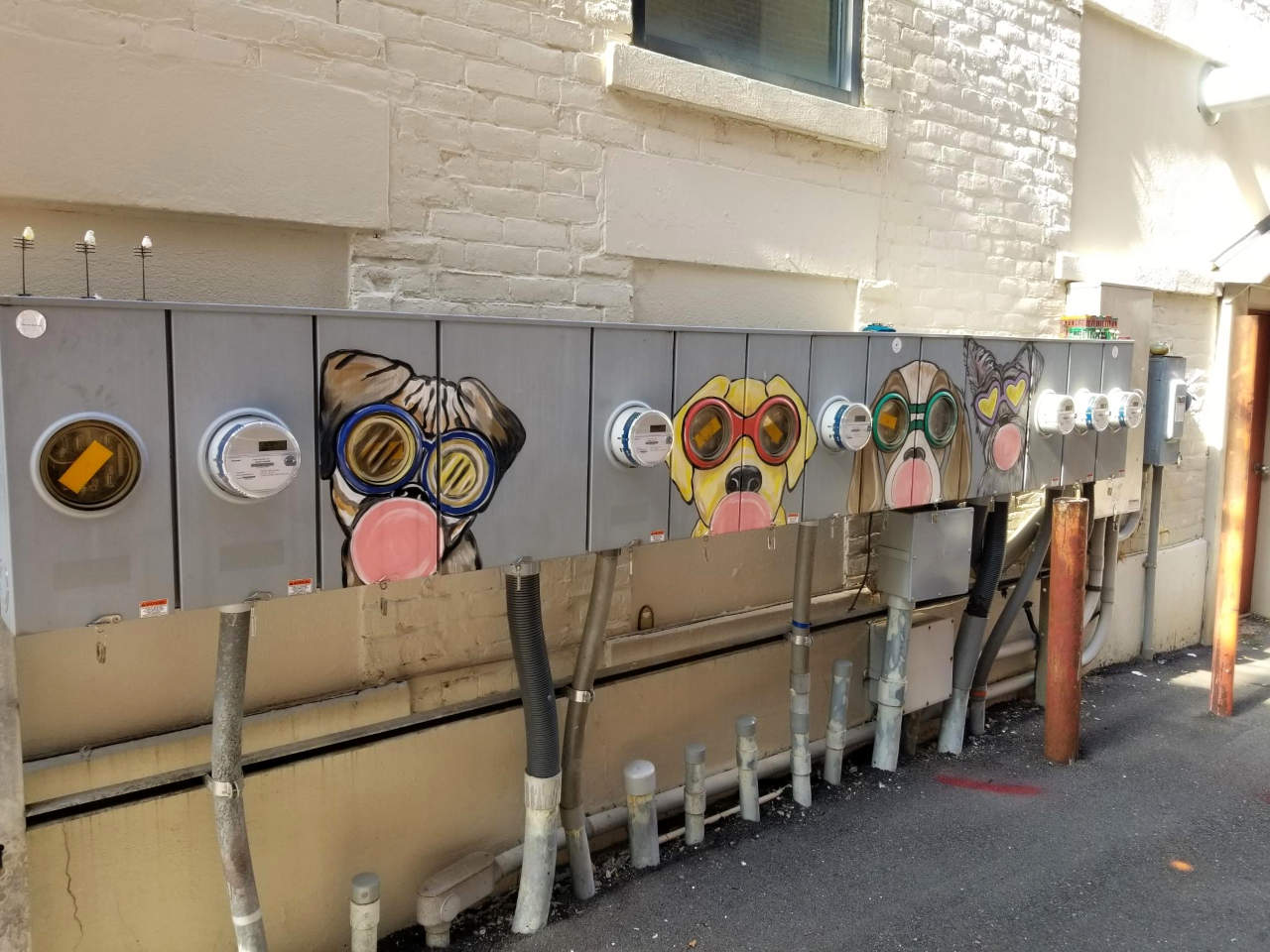 Elektraj skatoloj laŭlonge de muro, pentritaj kiel vizaĝoj de hundoj, tiel ke la hundoj ŝajnas havi grandajn okulojn.