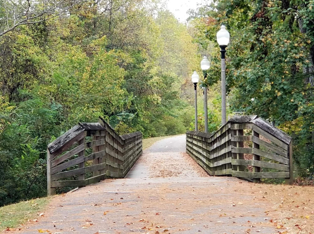 View of a footbridge in a wooded park. The railings are rough and there are lampposts on the right.