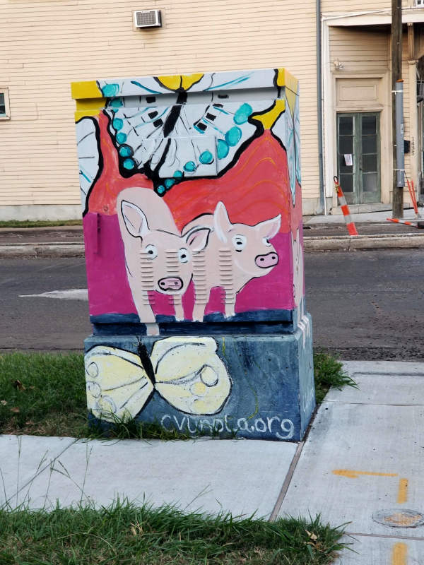 Arta Skatolo de Community Visions Unlimited de Nov-Orleano https://www.cvunola.org/