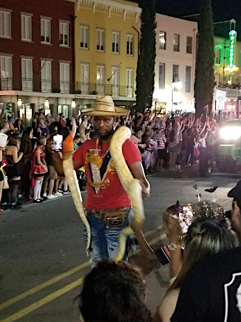 A man walking along a street in a parade, carrying a long white snake across his shoulders.