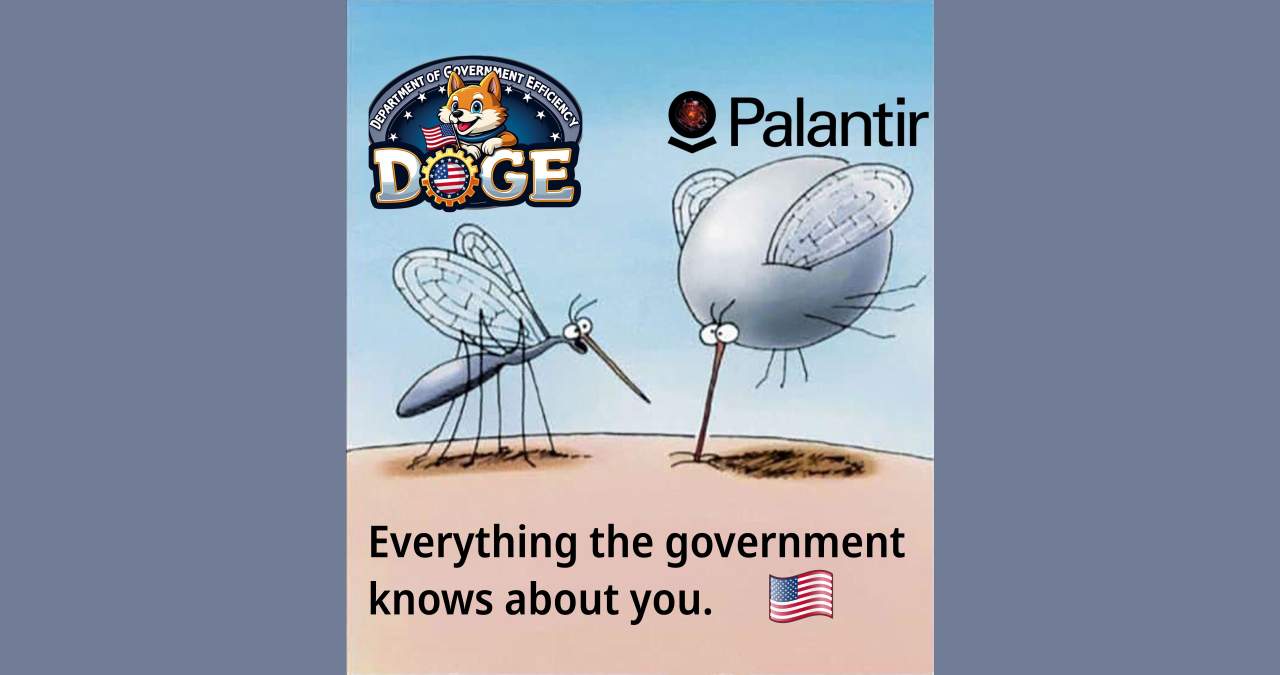 Two mosquitoes from the Far Side cartoon, one talking has the DOGE logo, the other attached and bloated has the Palantir logo, modified to include Tolkein's palantir, The skin below is labeled "Everything the government knows about" with and American flag.