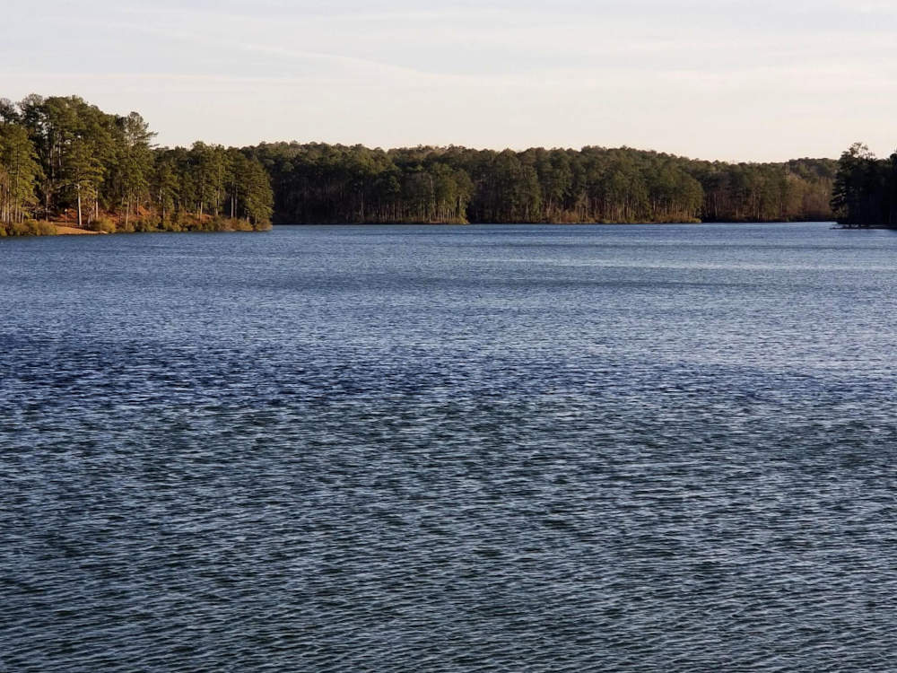 The rough surface of a lake, trees visible behind.